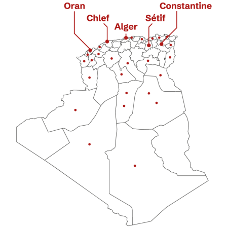 Carte réseau All Stores Algérie